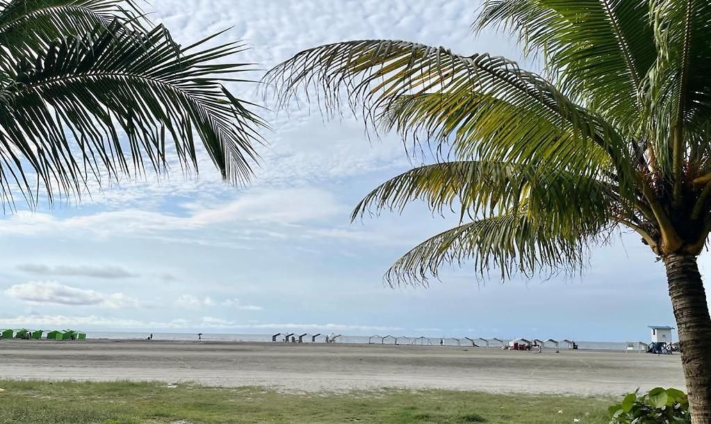 Beachfront Paradise 2Br Pools & Direct Beach Access